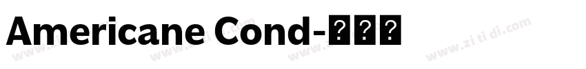 Americane Cond字体转换